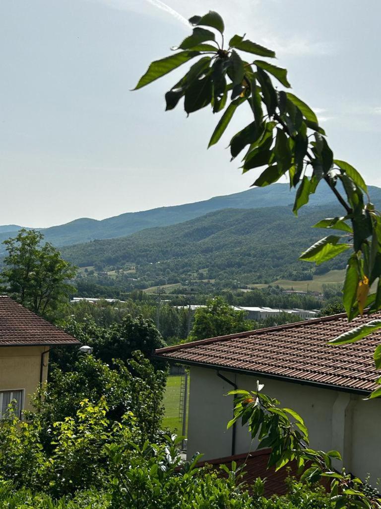 Hotel Mistrello Di Savoia 塔罗谷镇 外观 照片
